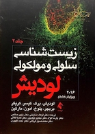 زیست شناسی سلولی و مولکولی لودیش جلد2